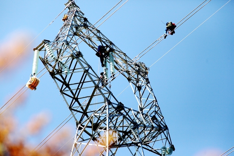  电竞青训体系完善输送优质后备力量  